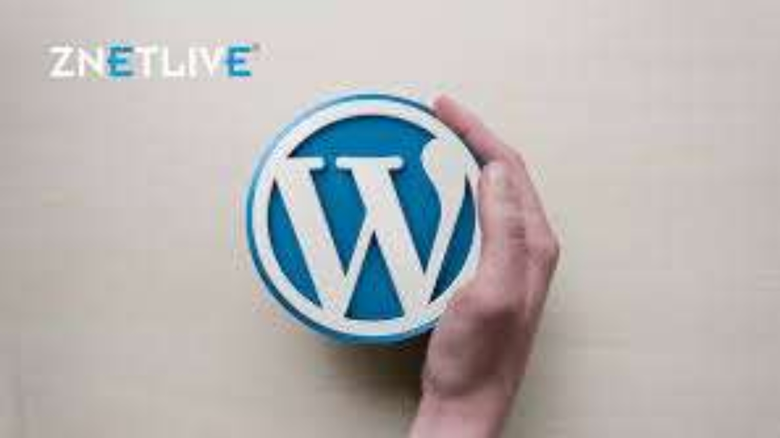 How to Launch a WordPress Website on Amazon EC2 Server: A Beginner’s Guide.