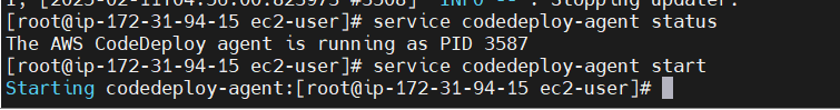 Step-by-Step Guide to Deploying a Sample WordPress Application Using AWS CodeDeploy. 11 Screenshot 2025 02 11 102737