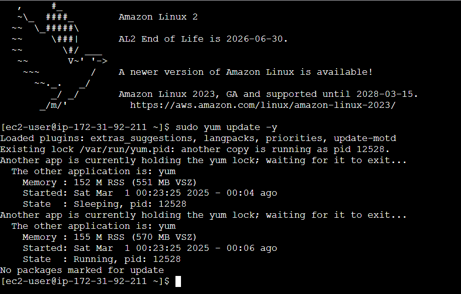 Guide to Installing ArgoCD on Amazon Linux. 1 Screenshot 2025 03 01 055437