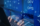 The Role of Monitoring in DevOps: Beyond Uptime